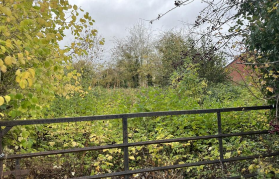 Development Potential in Ludlow photo